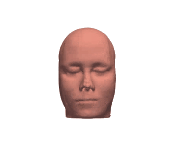 Head Model