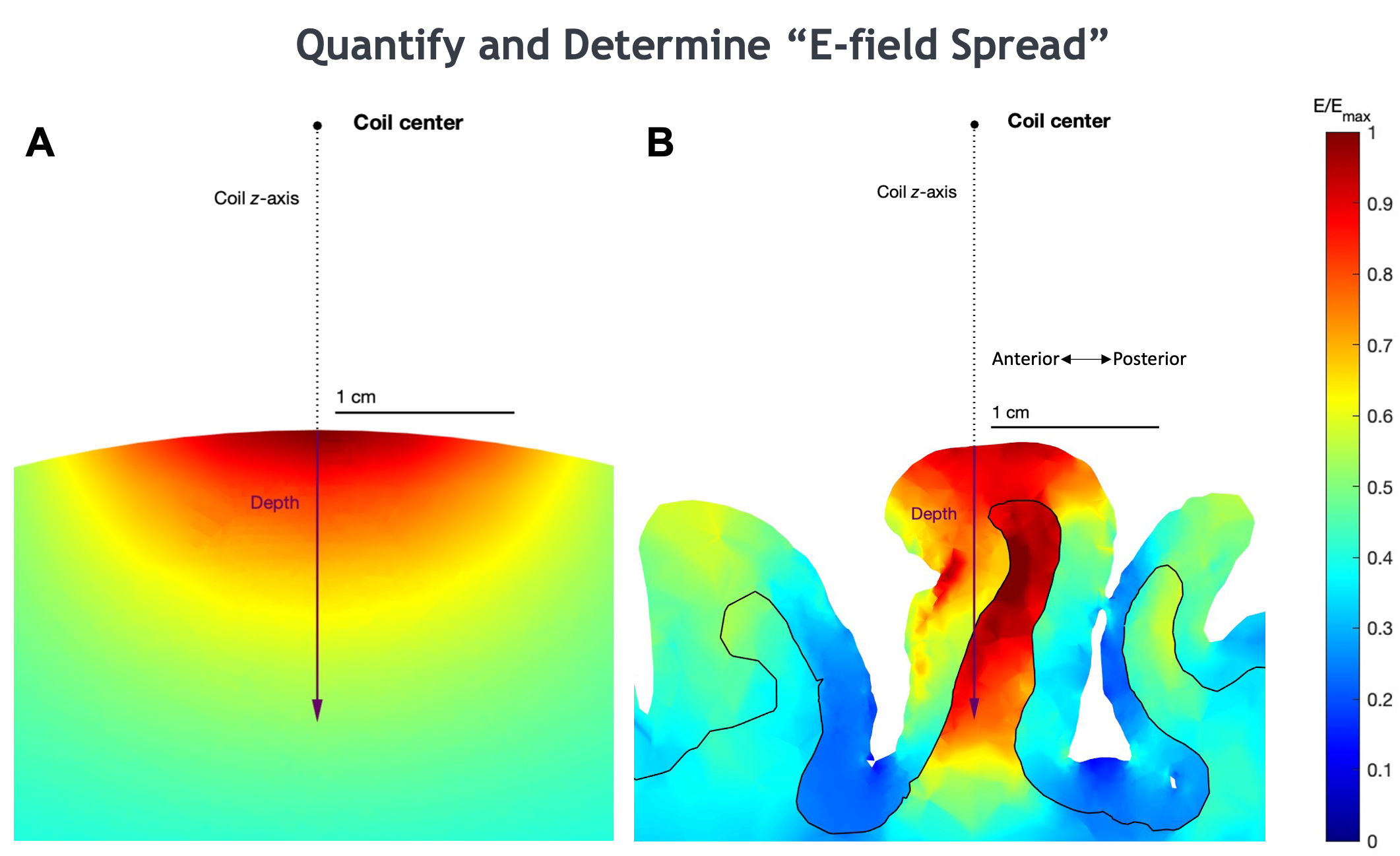 3D FEM simulations were analyzed and visualized to determine a robust metric of E-field spread for each coil.