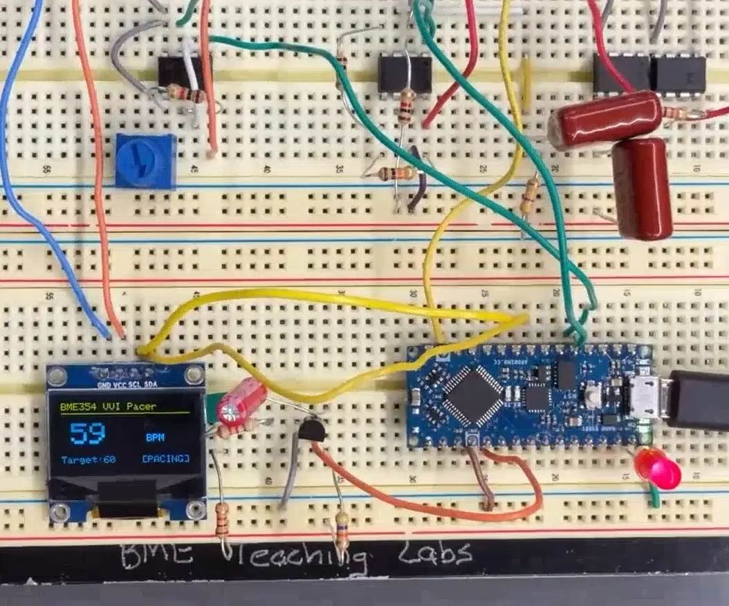 Benchtop VVI Pacemaker